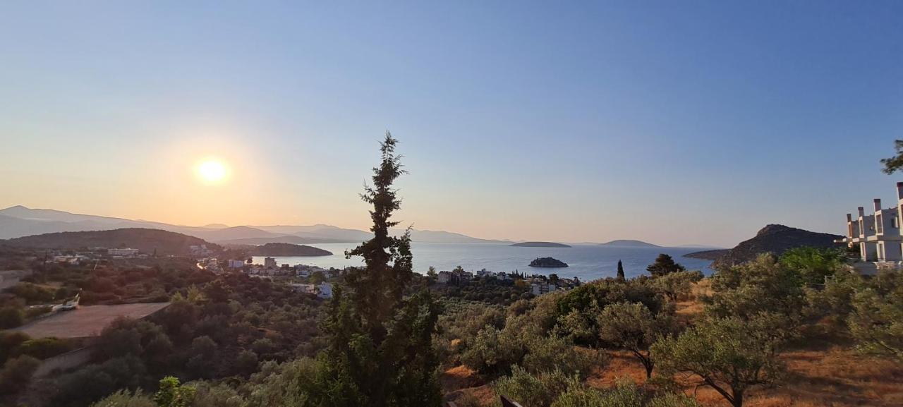 Вилла Πέτρα, Ελιά Και Λεβάντα Толон Экстерьер фото