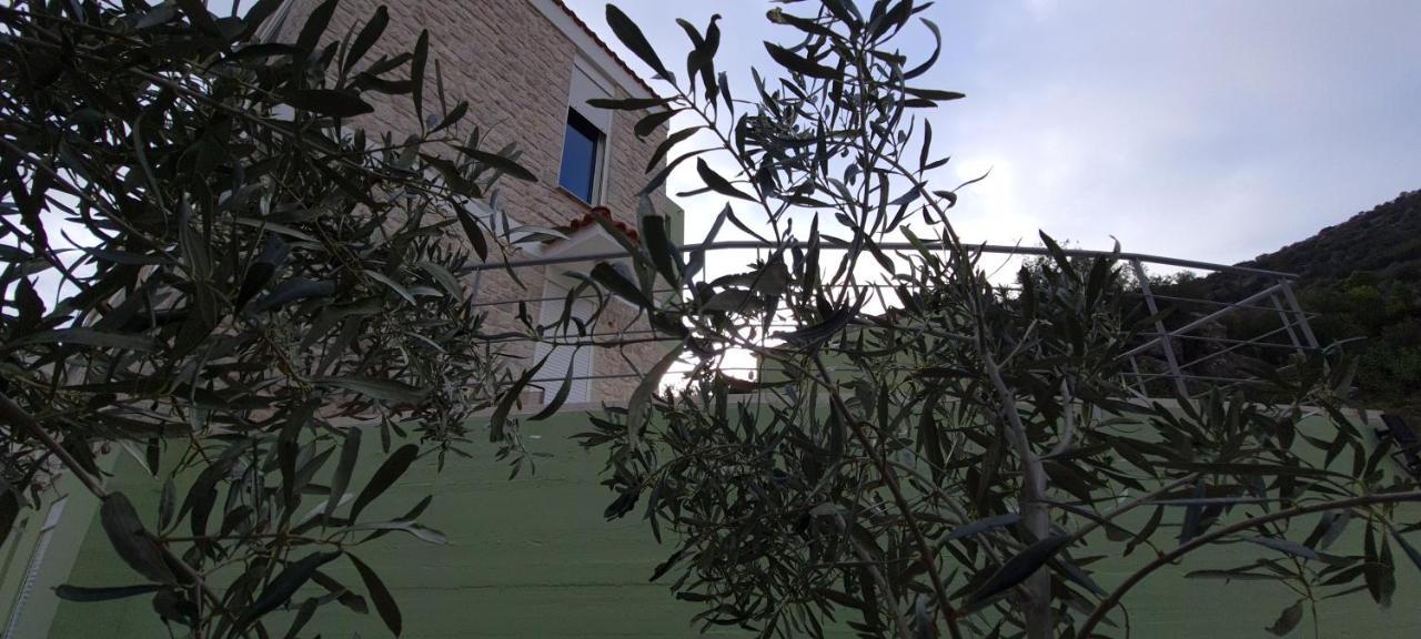 Вилла Πέτρα, Ελιά Και Λεβάντα Толон Экстерьер фото