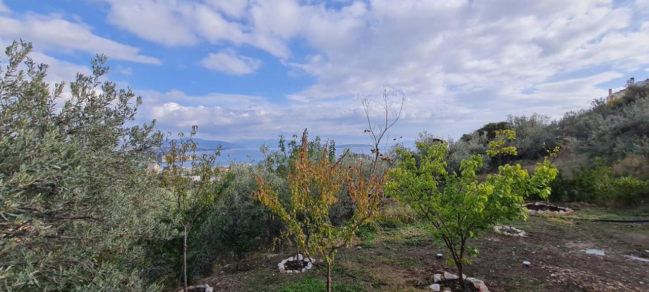 Вилла Πέτρα, Ελιά Και Λεβάντα Толон Экстерьер фото